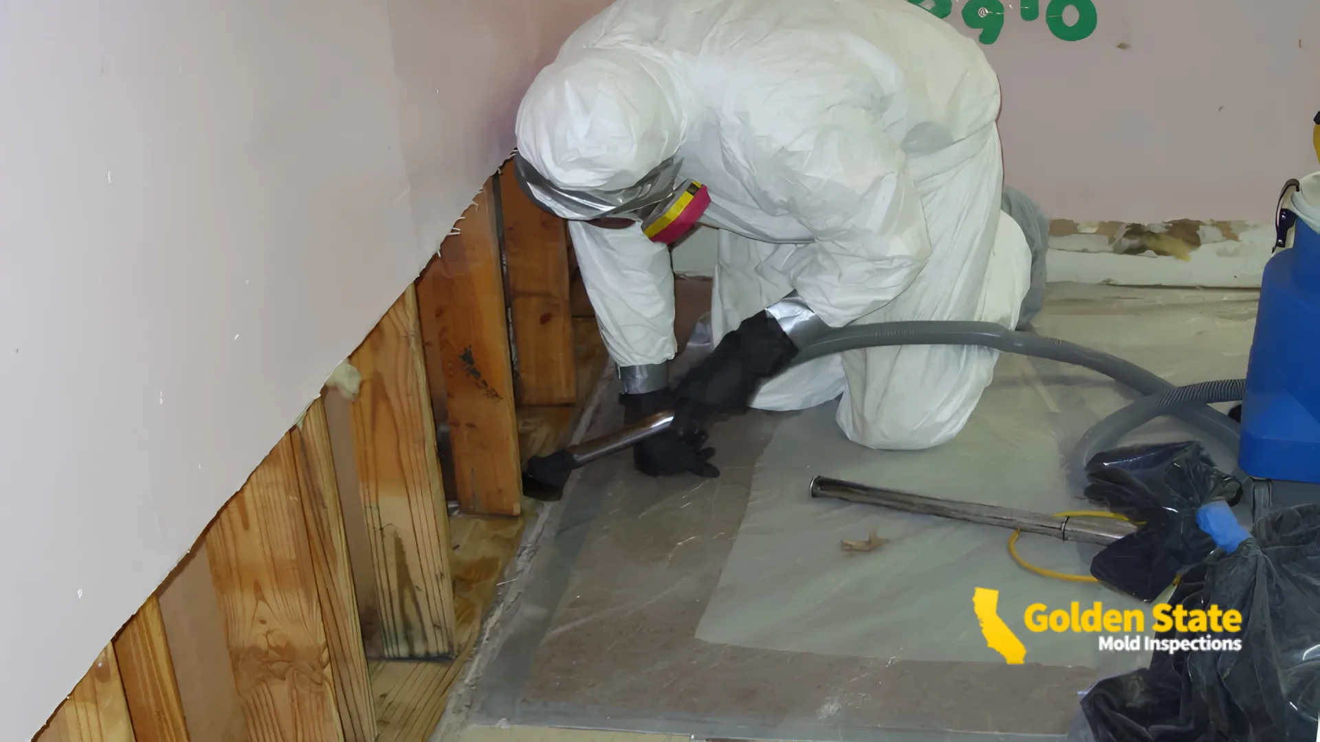 Mold Inspection in Signal Hill, CA