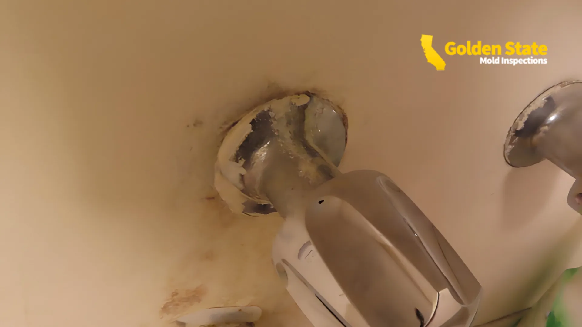 Mold Inspection in Carson, CA
