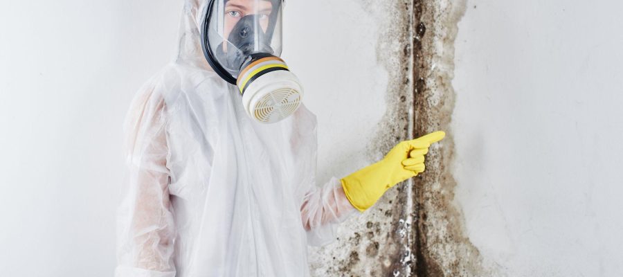 Are Mold Inspections Worth