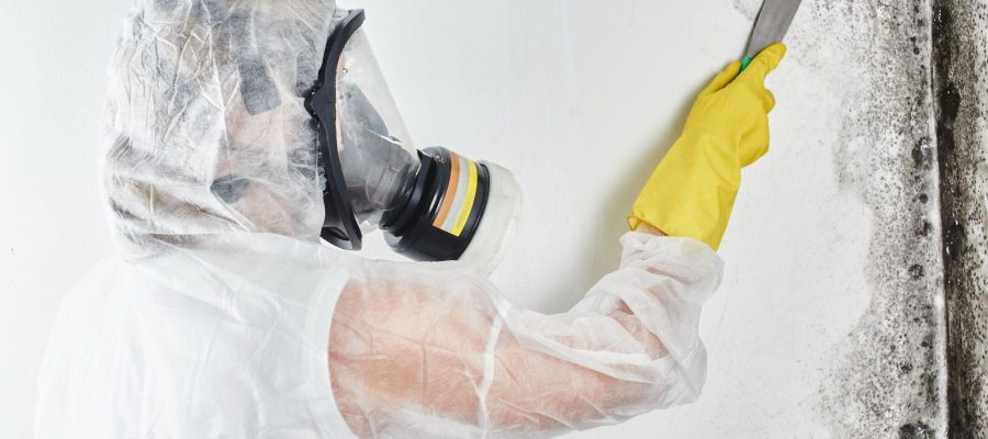 Is There a Device That Checks for Mold