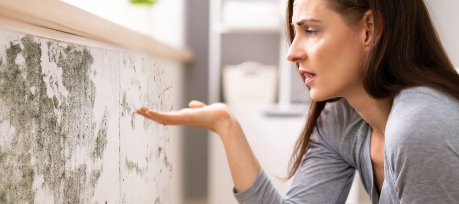 Will Mold Fail a Home Inspection